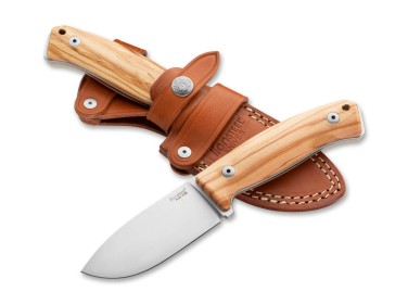 LionSteel M2M Olive Wood