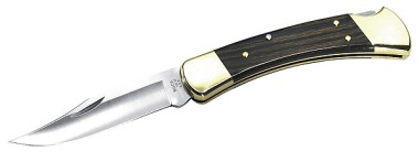 Buck Folding Hunter